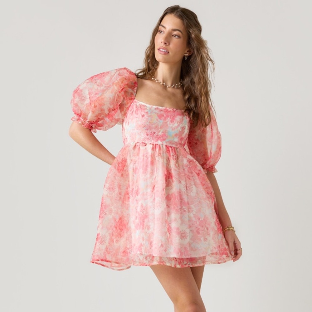 Francesca’s Claudia Floral Organza Babydoll Dress